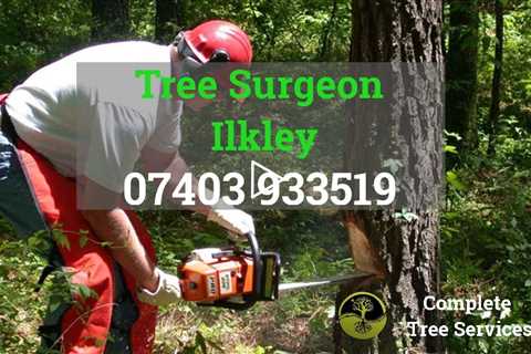 Tree Surgeon Ilkley Stump Root And Tree Removal Tree Pruning And Felling Tree Surgeons Near Me