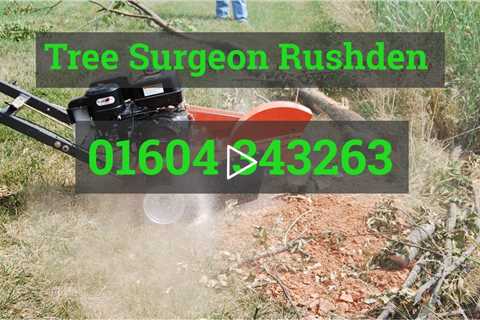 Tree Surgeon Rushden Stump Removal Root Removal Tree Surgery  And Other Tree Services