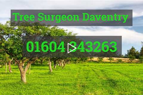 Tree Surgeon Daventry Tree Removal Tree Felling Stump And Root Removal Services Northamptonshire