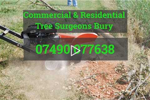 Tree Surgeon Bury Tree Felling Pruning Root And Stump Removal Services Near Me