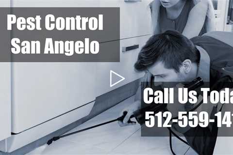 San Angelo Pest Control - Domestic Exterminator 24 Hour Bed Bug Control & Termite Treatment