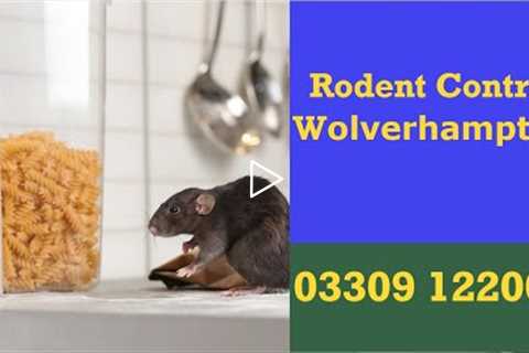 Domestic & Commercial Wolverhampton Rodent Pest Control - 24 Hr Rat & Mice Exterminator
