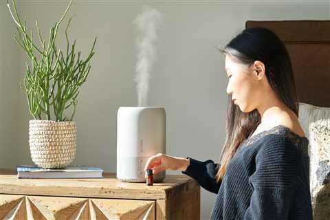 Humidifier Buying Guide – Do You Really Need It?