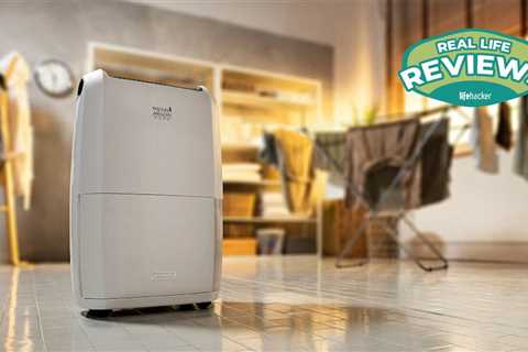 This DeLonghi dehumidifier keeps your home dry and mold free