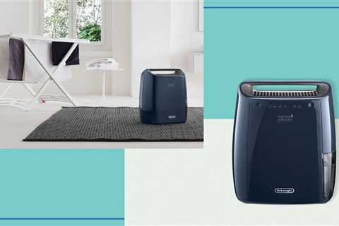 De’Longhi’s energy-efficient dehumidifier could cut the drying time for your clothes in half this..