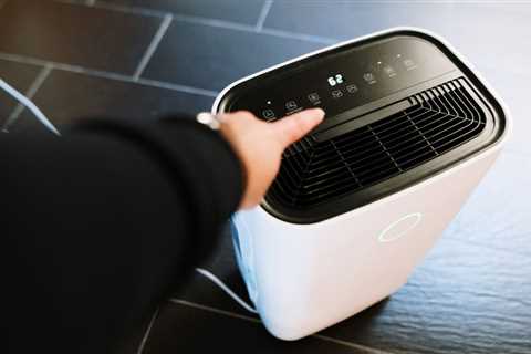 Dehumidifier vs Air Purifier: What’s the Difference?