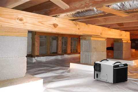 The Best Crawl Space Dehumidifier Units of 2022