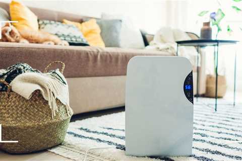 Should You Buy a Dehumidifier in the Cyber ​​Monday Sale?  |