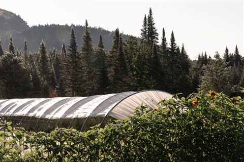 This agrotourism site in Canada makes nature the focal point