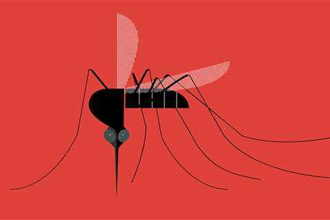 Gene Drives Could Fight Malaria and Other Global Killers but Might Have Unintended Consequences