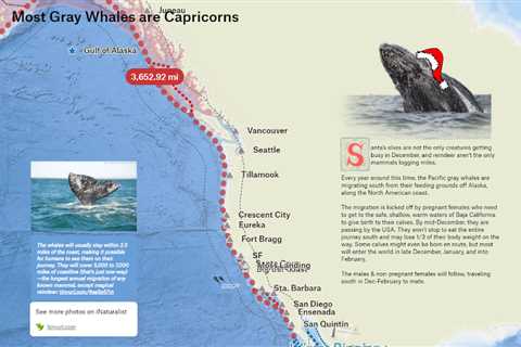 Gray Whale Migration and More Felt Mapping Ideas