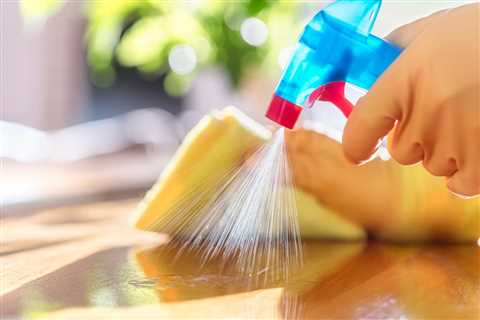 Professional House Cleaning In Hailey Idaho