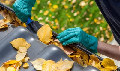 Gutter Cleaning Bishopsworth