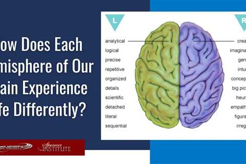 How Does Each Hemisphere of Our Brain Experience Life Differently?