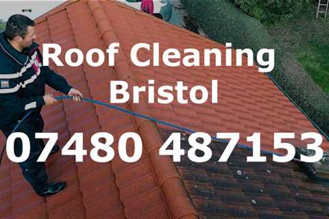 Roof Cleaning Portbury