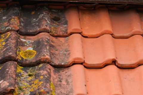 Roof Cleaning Woodstock