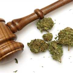 Life Grows Green Inc - Cannabis Legalization: A Brief U.S. History
