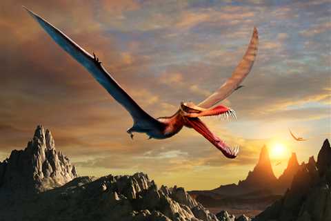 4 Dragons That Have Entered the Fossil Record
