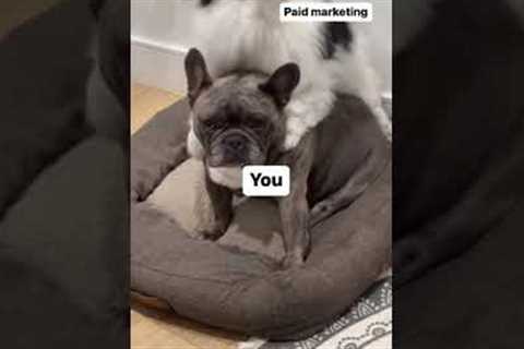 What Paid Marketing Does To You #shorts #realestatememes #funny
