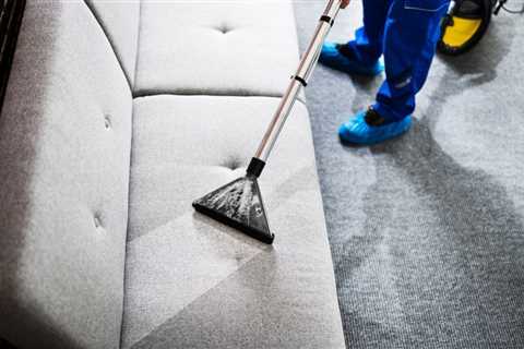 Belview Floorcare - Rochester, New York 14624 (24325384) | CitySquares