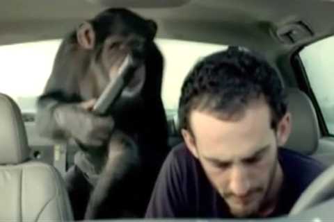 Funniest Trunk Monkey Commercials