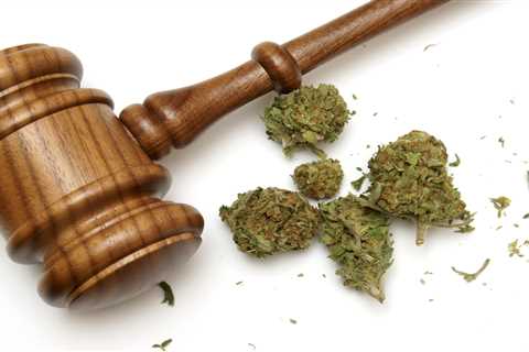 Life Grows Green Inc - Cannabis Legalization: A Brief U.S. History