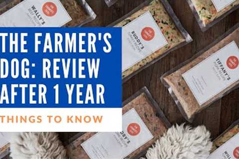 The Farmer''s Dog: Things to Know & Review After One Year | Fresh Dog Food
