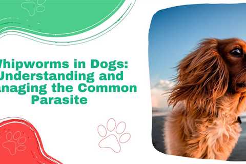 Whipworms in Dogs: Understanding and Managing the Common Parasite