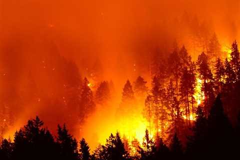 U.S. Forest Services Properly Consulted With Landowners Amidst Months-Long Blaze, Says 9th Circuit