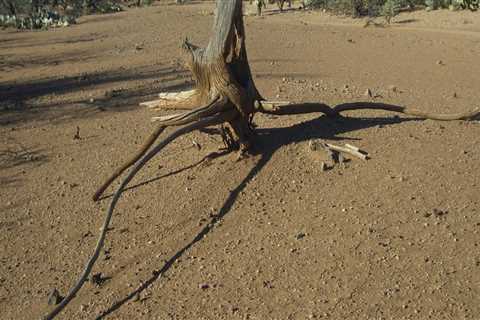 The Impact of Landscape on Soil Formation