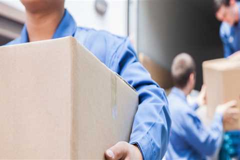 What Services Do Professional Movers Offer?