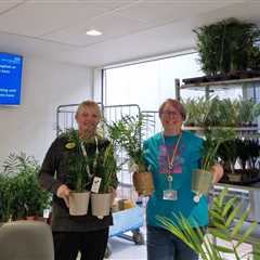 Nurse-led plant initiative improving staff wellbeing