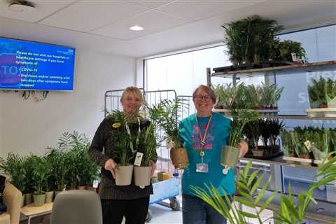 Nurse-led plant initiative improving staff wellbeing