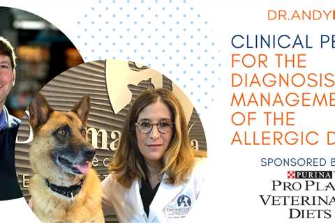 Clinical Pearls for the Diagnosis and Management of the Allergic Dog Webinar Replay