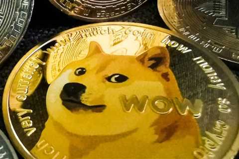 Elon Musk hit with dogecoin insider trading lawsuit