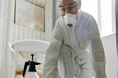 Restoring Cleanliness: House Cleaning Services In Hailey, ID After Foundation Repair