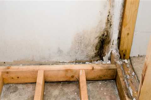 When does homeowners insurance cover mold?