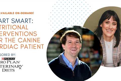Heart Smart: Nutritional Interventions for the Canine Cardiac Patient Webinar Replay