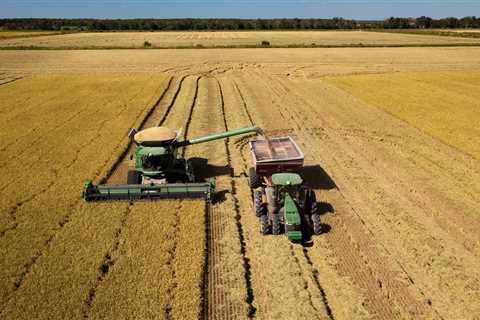 Kellogg Helping Rice Farmers Reduce Greenhouse Gas Emissions
