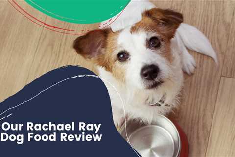 Our Rachael Ray Dog Food Review