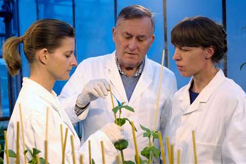 Top Universities and Programs for Food Research and Development Studies