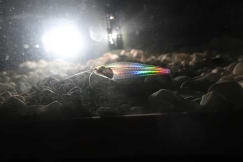 How The Ghost Catfish Turns Into A Rainbow