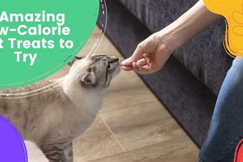 8 Amazing Low-Calorie Cat Treats to Try