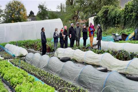 The Decline of Urban Farming in London: An Expert's Perspective