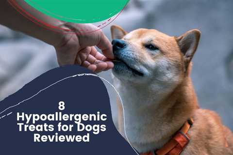 8 Hypoallergenic Treats for Dogs Reviewed