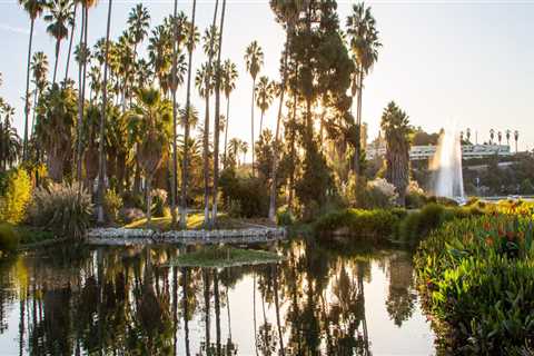 Green Spaces in Los Angeles: How Much is Enough?