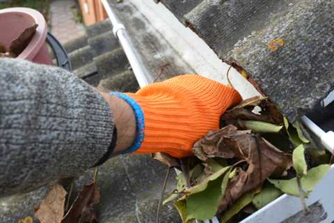 Gutter Cleaning Chesterton