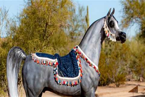 The Annual Scottsdale Arabian Horse Show: A Spectacular Event in Scottsdale, AZ