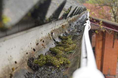 Gutter Cleaning Hill Top