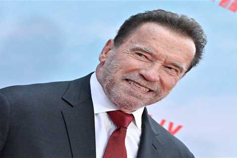 Are you sure you have nothing to declare? Let Arnold Schwarzenegger and his pricey watch be a..